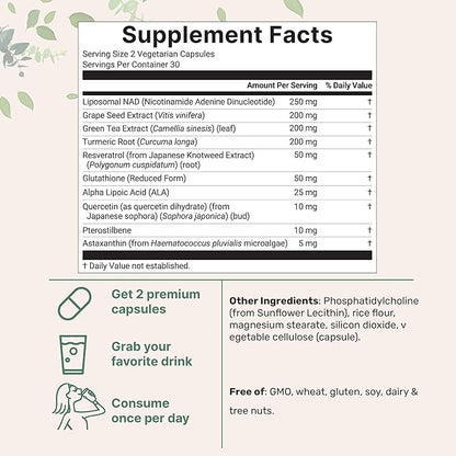 LIPOSOMAL NAD+